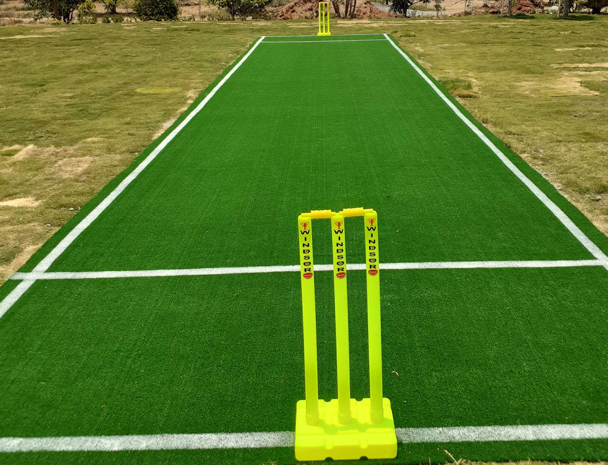 cricket-pitch-grass